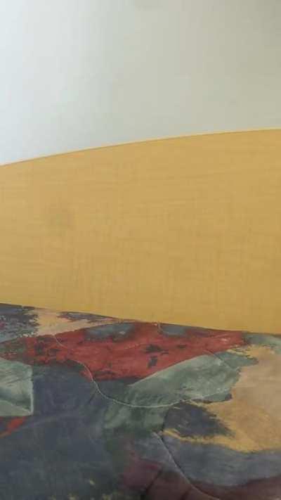 Before vs After playing Tarkov