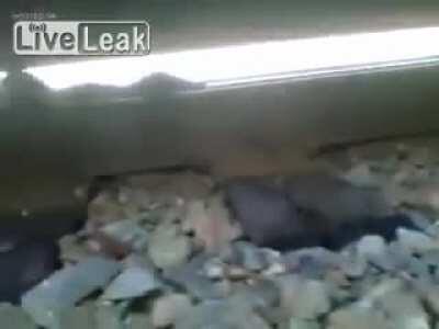 Lying under moving train just for giggles