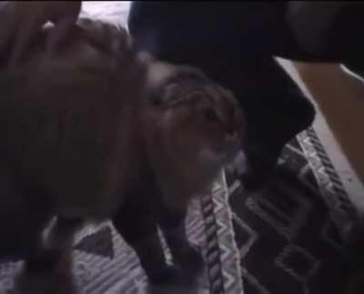 when you get hit by the monster and are on the verge of death