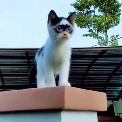 A masked hero we don't deserve