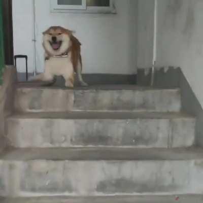 The joy when I get home