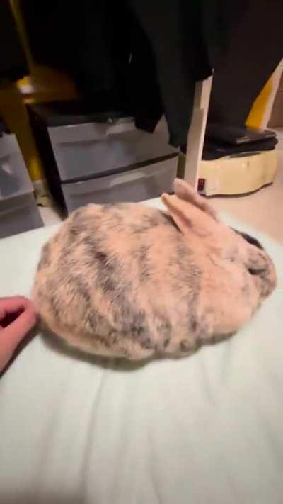 Does she like this or is she scared?