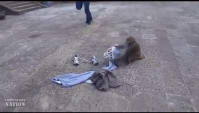 Chad Nepali monke steals from cringe westoid