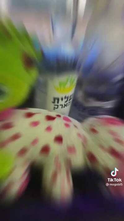 מוגו