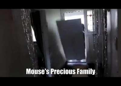 When you catch him in 4K, but you also played yourself