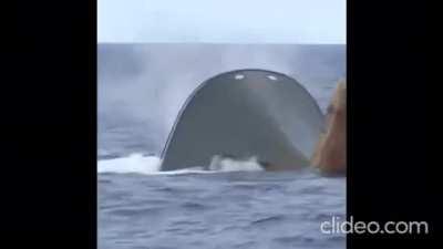 Oooooooh oooooooooh aaaaaaaaaa aaaaaaa