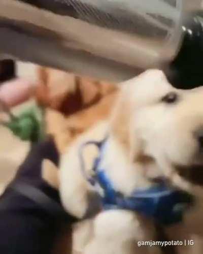 gib me dat thing~ing~ing~ing~ing