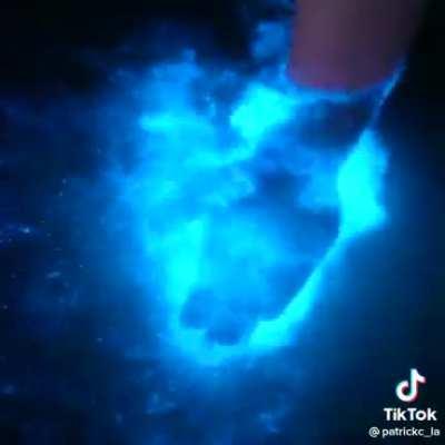 Bioluminescent sea.