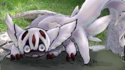 Faputa's voice confirmed