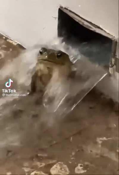 casually taking shower