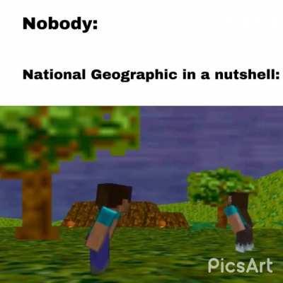 As we can see here we have a wild steve in its natural habitat