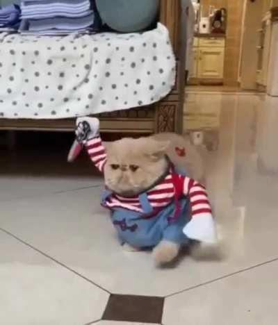 а кем ты будешь на утреннике?