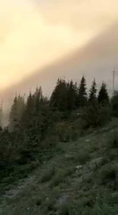 Пошла к Магомеду