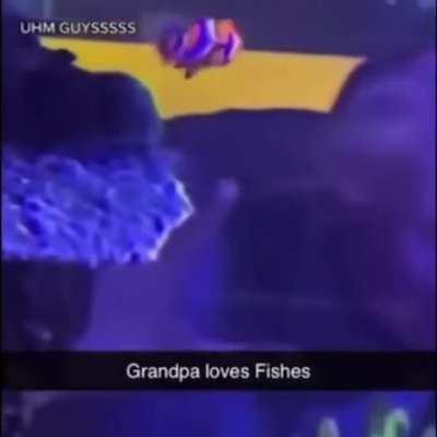 He loves him some fish 