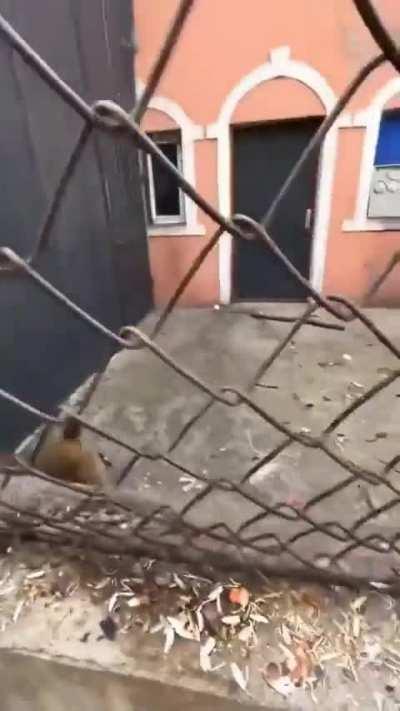 Me when I pour cereal and there’s no milk