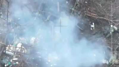 FPV drone strike on Russian soldiers hiding among the bodies of their dead comrades in the Pokrovsk area [23.12.24].