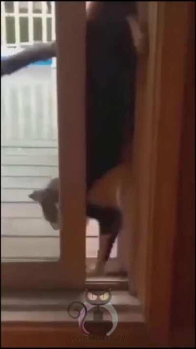 Sometimes you have to challenge yourself!