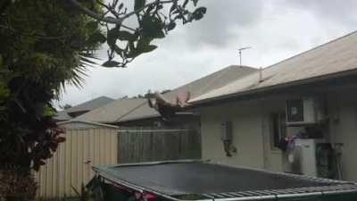 HMRB while I try and stick the landing