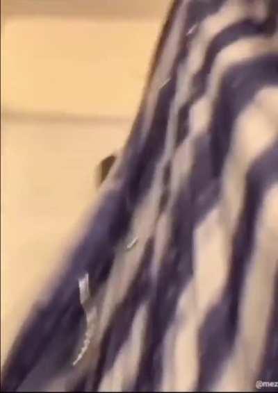 Sounds like a damn chainsaw