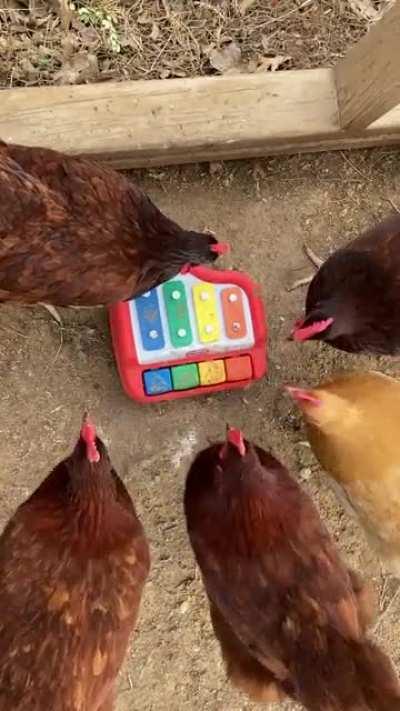 What should their band name be?