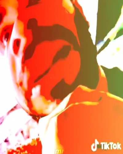 Essa carne tem gostinho de frango