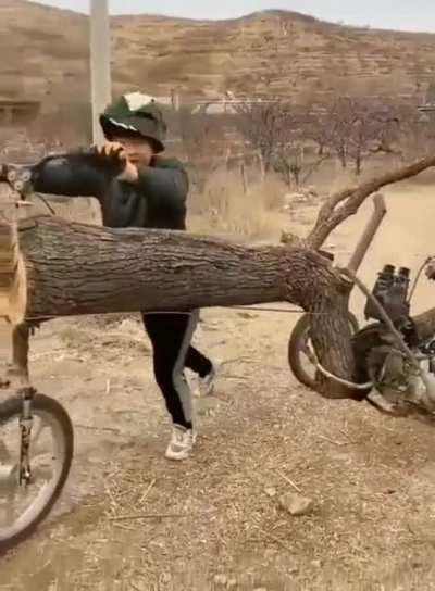 Из говна и палок