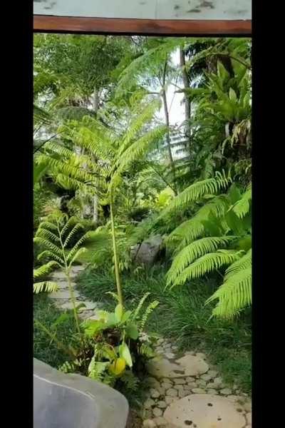 Petite nymph-o dancing in an outdoor shower above a rice field🧚‍♀️🌿 (better with audio😜)