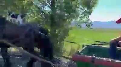 Тем, кто дружен, не страшны тревоги. Нам любые дороги дороги.