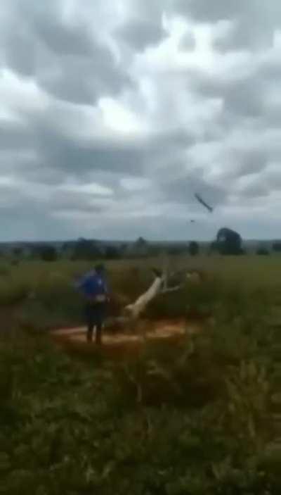 could be me, receiving TREE REWARD 🌳🏆