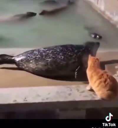 Make a noise an I slap