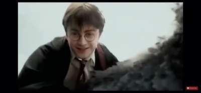 Harry Potter war criminal