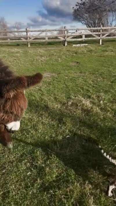 It’s hard making friends on the farm.