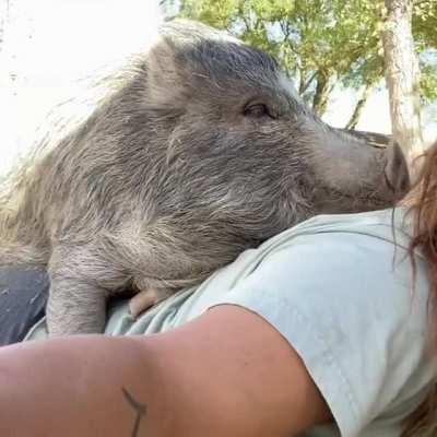 I Think This Is Called A Piggyback Ride