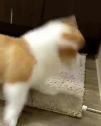 boingggggggggggggggggg