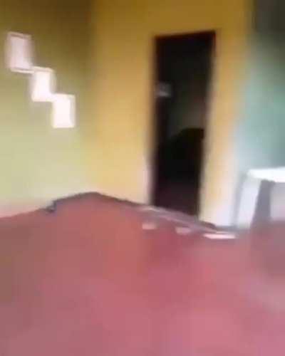 My friend sent this to me and said your next