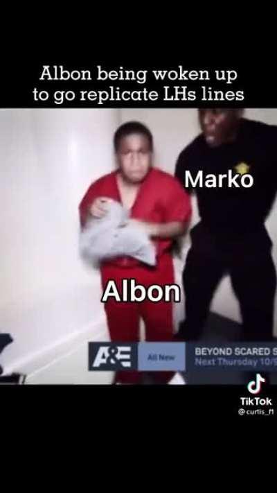 Albon getting woken up to run sims of everyone into turn 1.