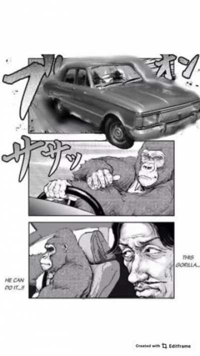 Yendo a Votar a Espert