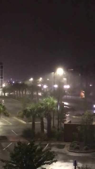 Getting a little action from Sally in NC