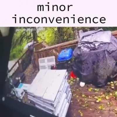 minor inconvenience