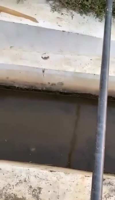 A young Indonesian man, protesting on social media, struck and killed by train.