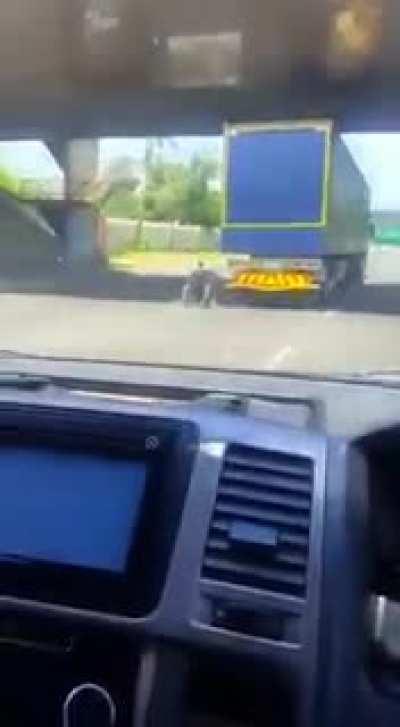 Going for a ride in a wheelchair