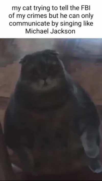 my cat will never talk