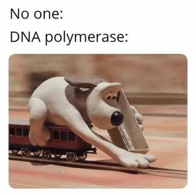 A Wallace and Gromit meme for you guys. [OC]