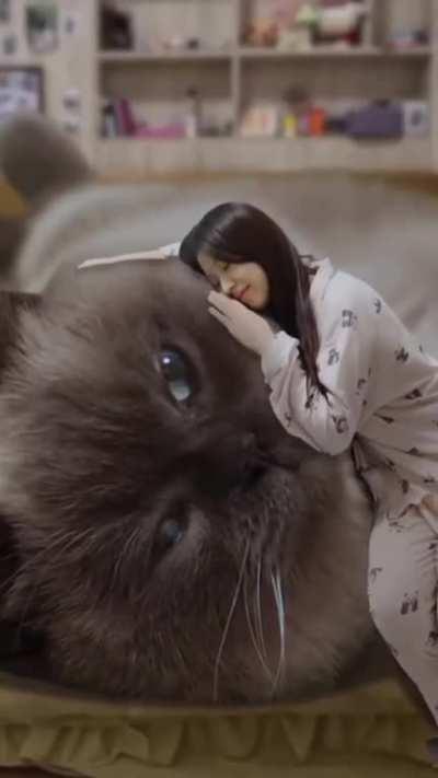 Главное кормить вовремя.