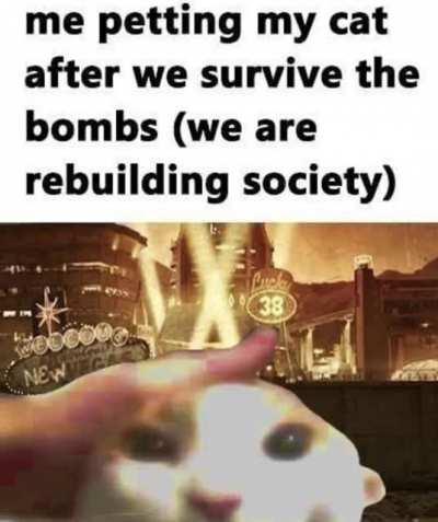 Which faction will the cat choose to shape new Vegas tho 😳😳