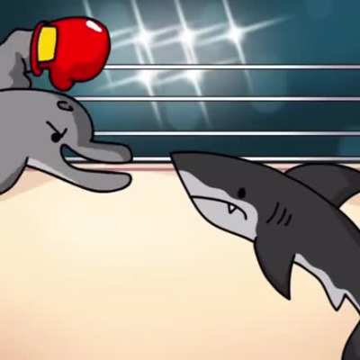 Did you know dolphins can beat up sharks
