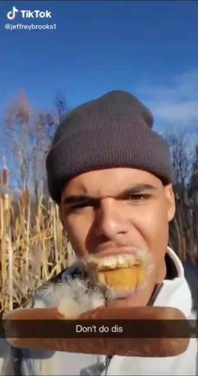 Biting into random flora