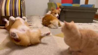 Почувствуй боль