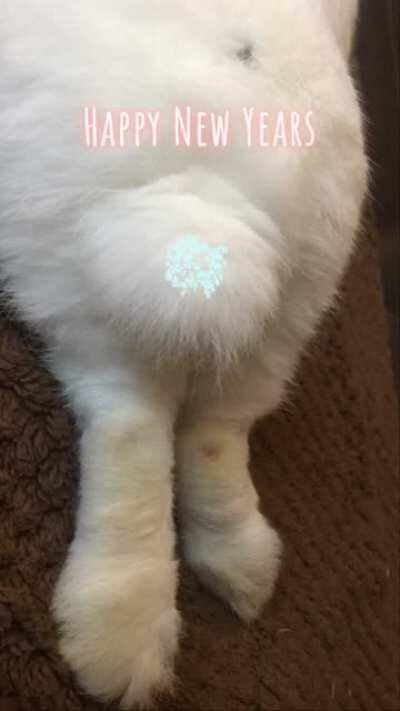 Happy New Year Every Bun!!