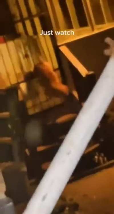 Meeting the neighbor's dog